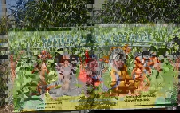 5630E0ac A91c 4320 8B7a 322469A42ce2