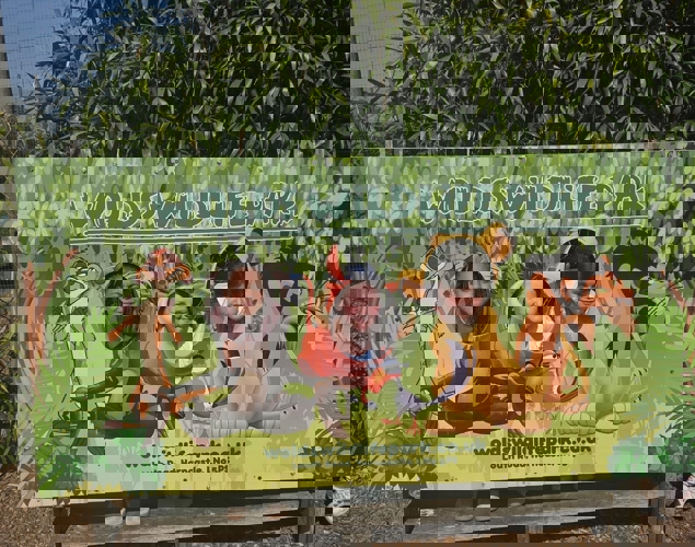 5630E0ac A91c 4320 8B7a 322469A42ce2